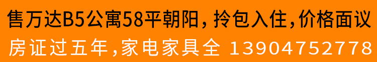 售萬達B5公寓58平朝陽