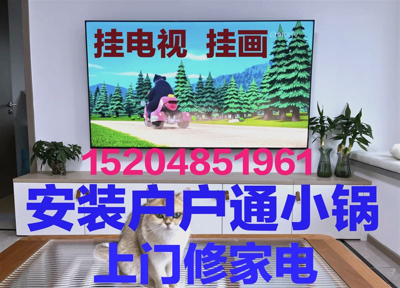 上門修家電，掛電視，掛畫，安小鍋，安熱水器15204851961
