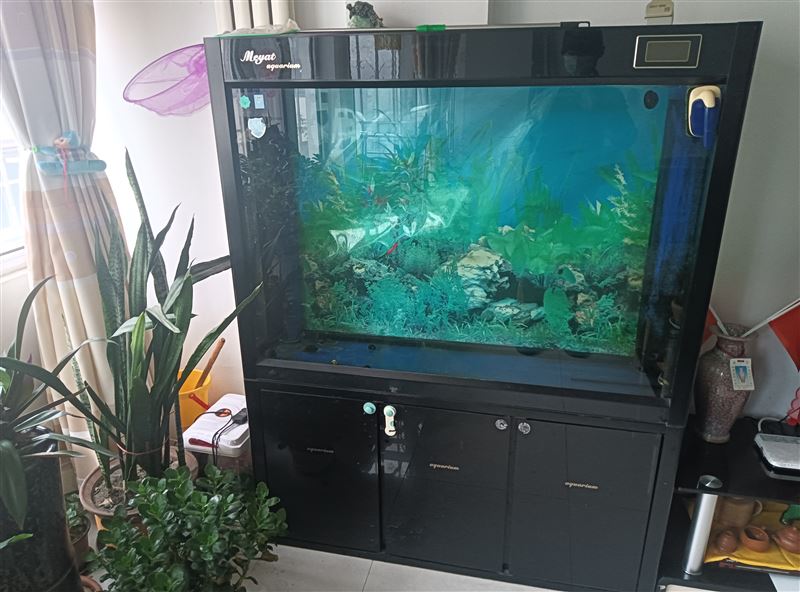 魚缸出售